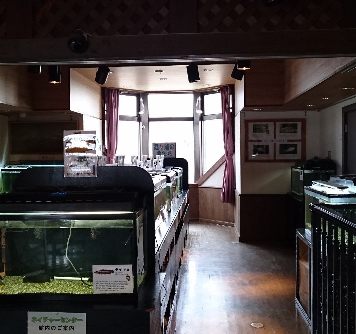 🏞️ 쓰치우라시 자연 센터(쓰치우라시 네이처 센터) 이미지 1